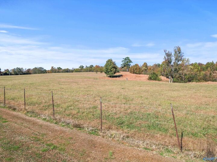 Property Photo:  99 Hobbs Loop Road  AL 35739 