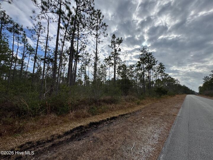 Property Photo:  Lot 22 22 Pepperhill Road  NC 28461 