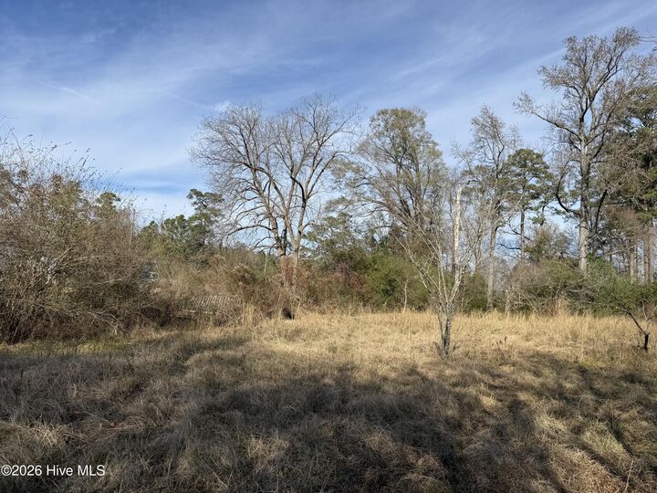 Property Photo: Lot 2 2 Off US 17 Lane NC 28573