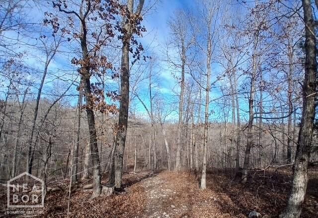 Property Photo:  1 E Wirth Rd  AR 72459 