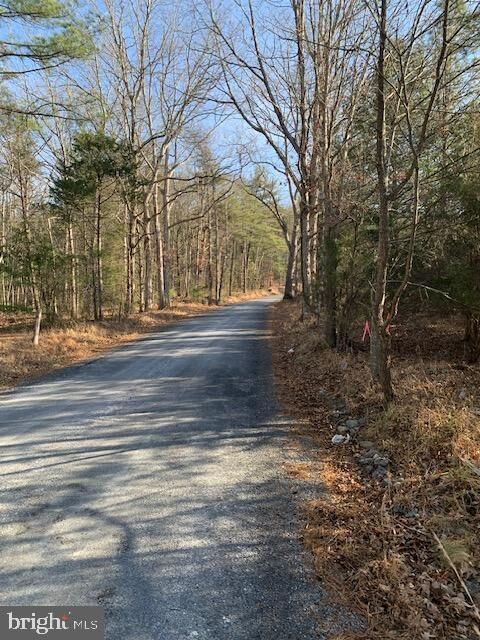 Property Photo: 0 Supinlick Ridge Road VA 22842