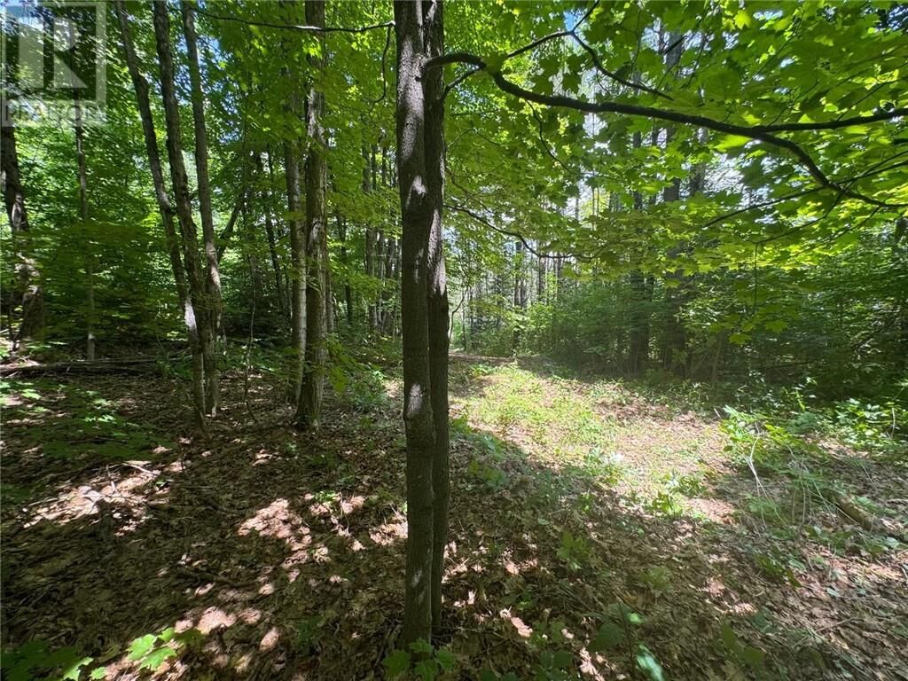 Property Photo:  16 Jacklin  ON P2A 2W8 