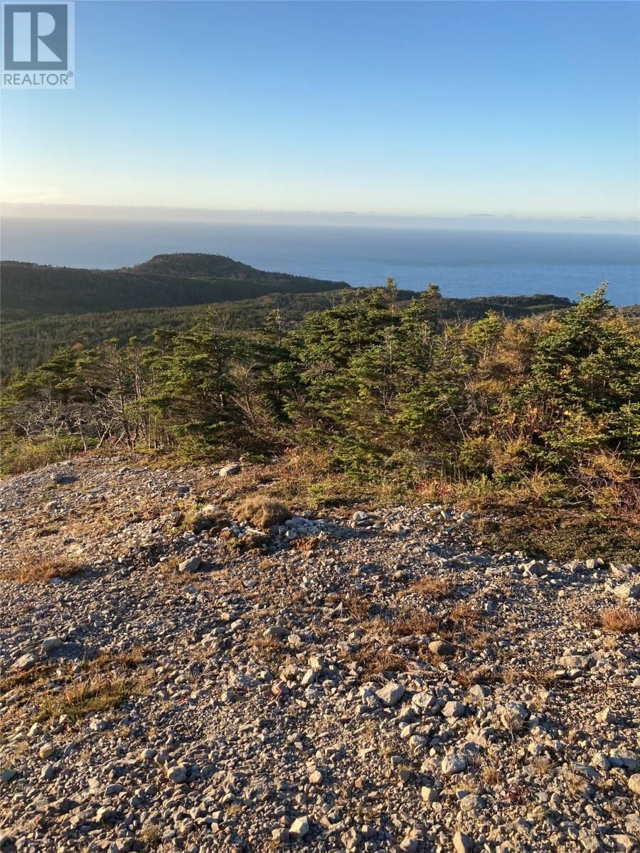 Property Photo:  1690 Oceanview Drive  NL A0N 1E0 