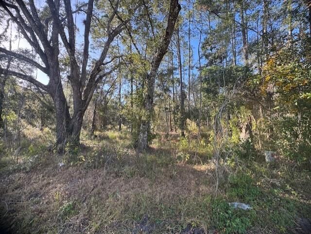 Property Photo:  6355 Treiman Boulevard  FL 33597 