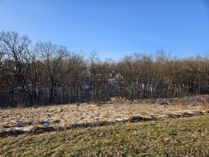 Property Photo: Tbd Gig Drive (Lot 23) IL 61036