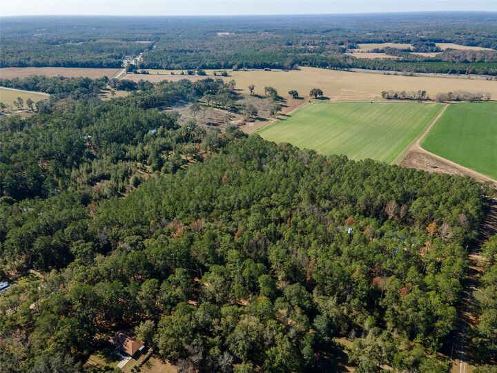 Property Photo:  Tbd N County Rd 1491  FL 32615 