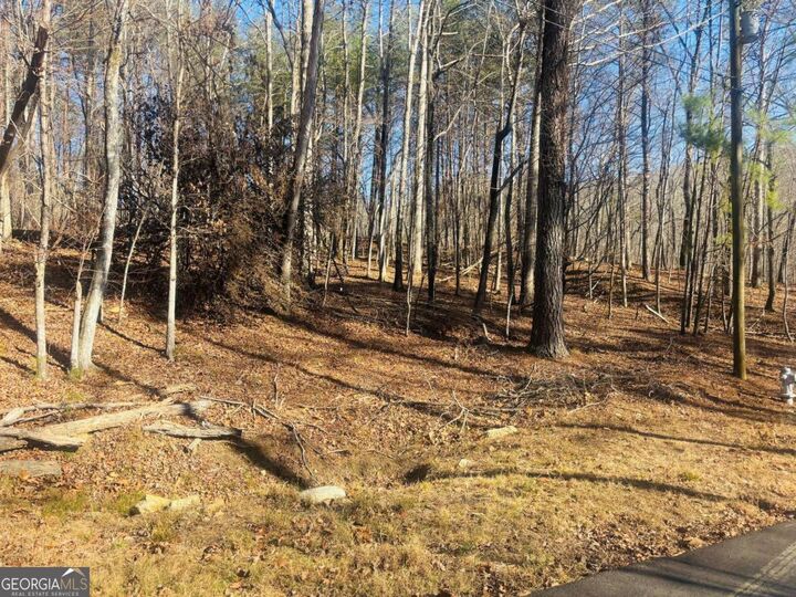 Property Photo: 111 Fox Oak Court GA 30183