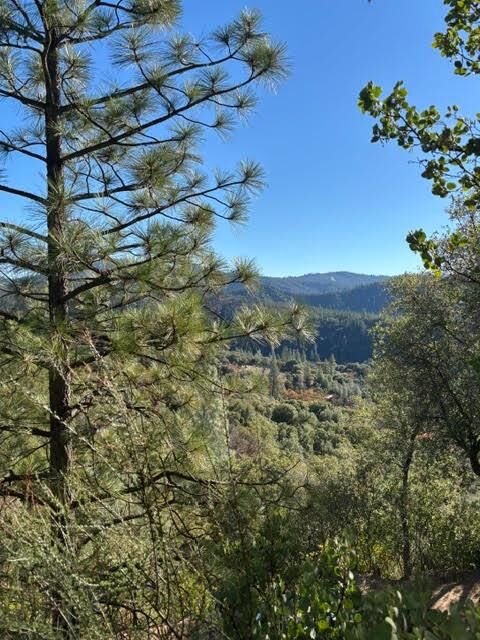 Property Photo:  27447 W Laikam Lane  CA 95310 