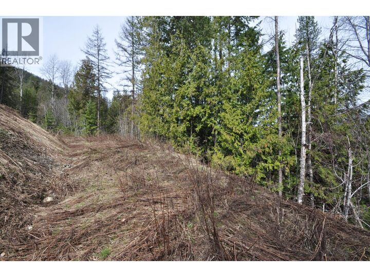 Property Photo:  2835 Silver King Road  BC V1L 7A5 