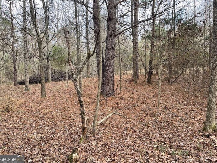 Property Photo:  884 Jackson Trail Road  GA 30680 