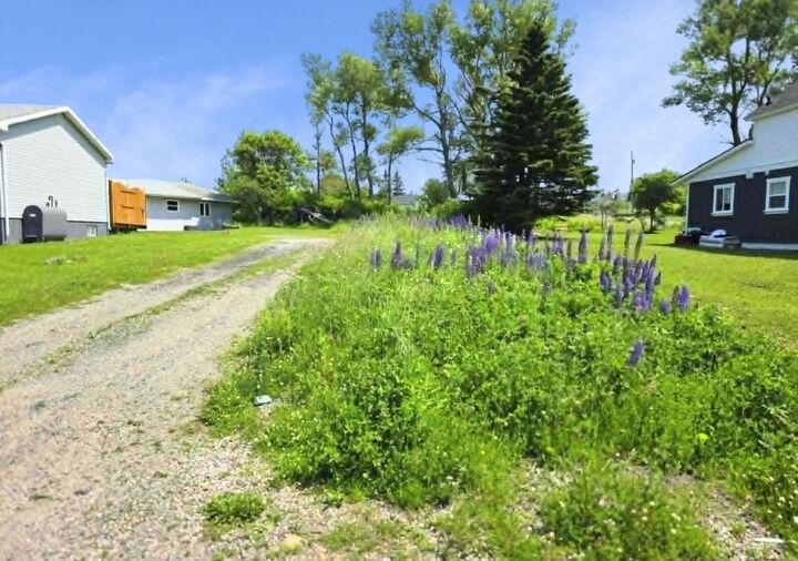 Property Photo:  49 School Street  NS B1A 1J3 