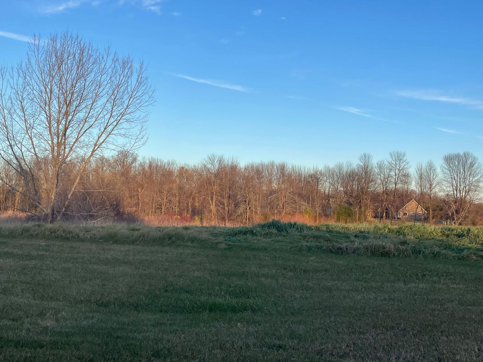 Property Photo:  Lot 10 Block 1 Donway Place NE  MN 56308 