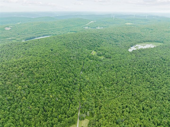 Property Photo:  308 Tennent Road 2  NY 13865 