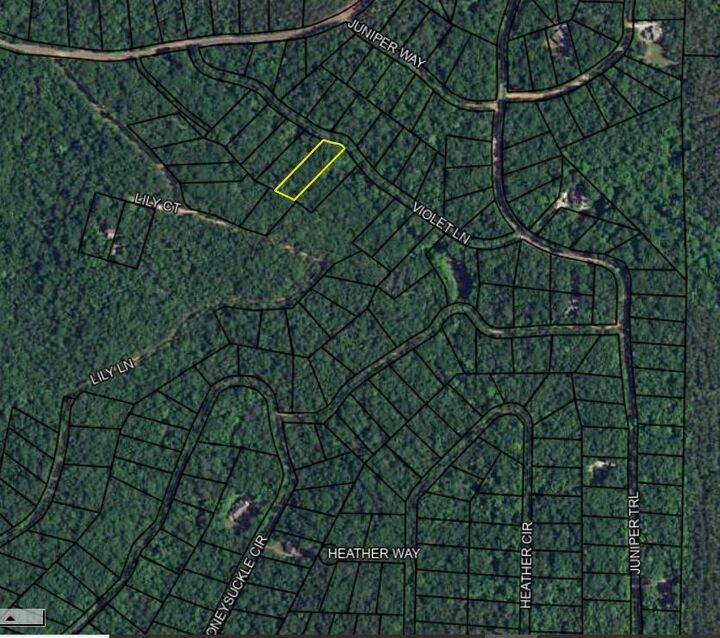 Property Photo:  Blk 38 Lot 02 Violet Avenue  GA 31831 