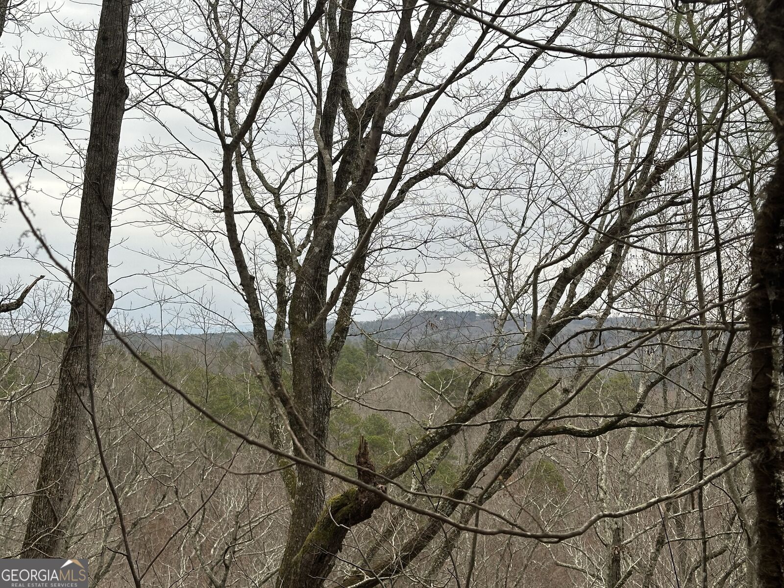 Property Photo:  306 Oberlin Court  GA 30734 