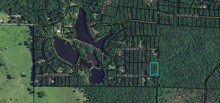 Property Photo:  Blk 14 Lot 11 Red Bud Court  GA 31831 