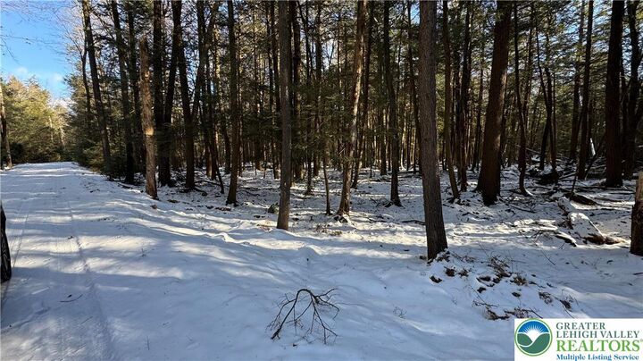 Property Photo:  Treetop Lane  PA 18210 