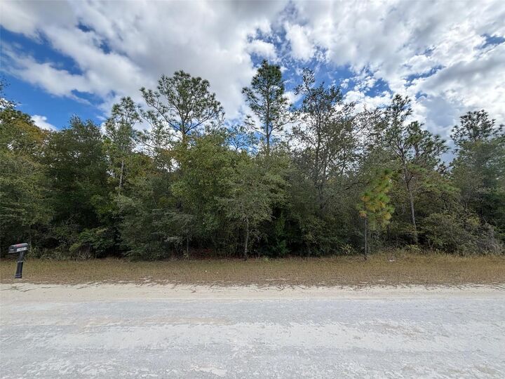 Property Photo:  Lot 17 Canyon Swallow Road  FL 34614 