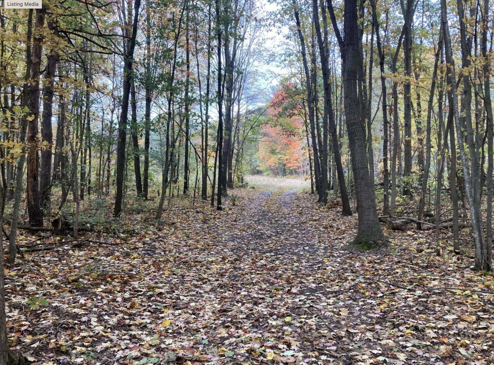 Property Photo:  0 130th Avenue  MI 49408 