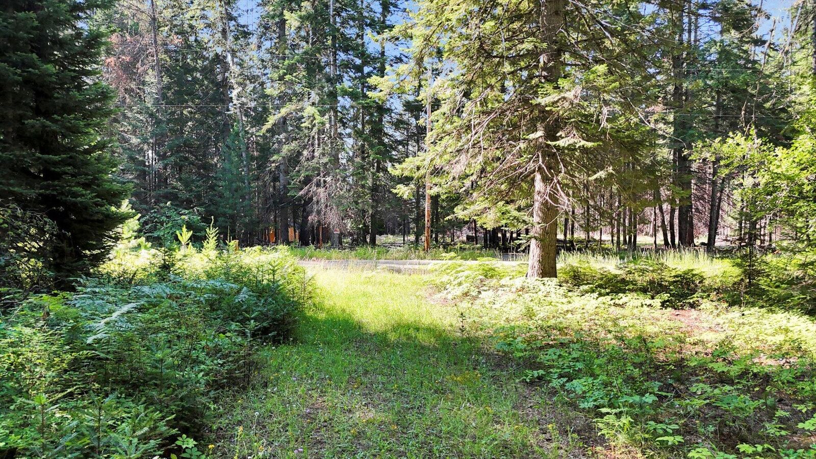 Property Photo:  238 Rustic Rd  WA 99119 