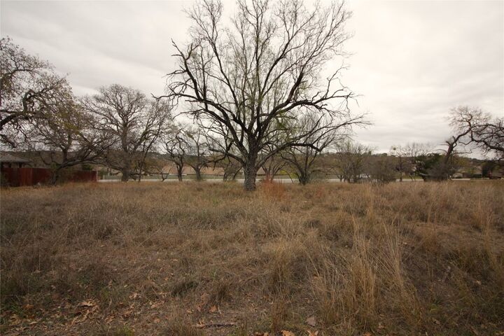 Property Photo:  207 Big Spur  TX 78657 
