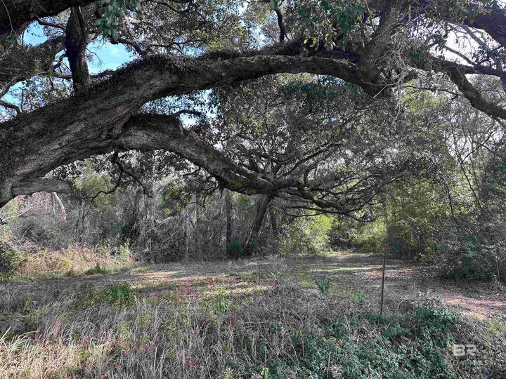 Property Photo:  26702 W County Road 54  AL 36526 