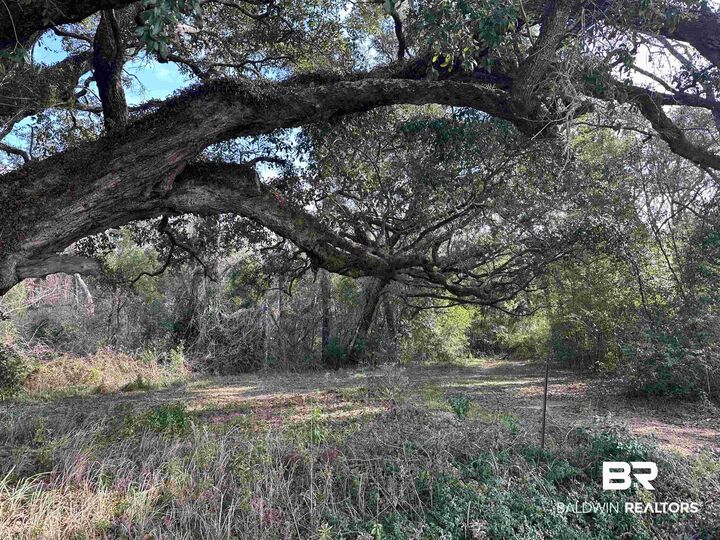 Property Photo: 26702 W County Road 54 AL 36526