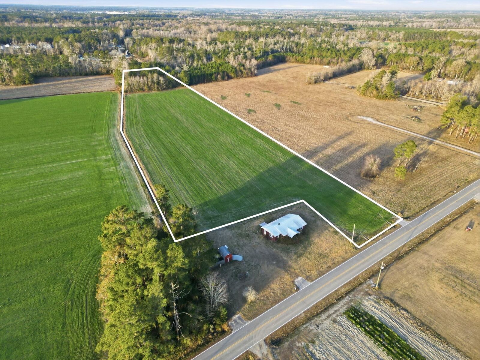 Property Photo:  Tract 2 Fries Bay Rd.  SC 29569 