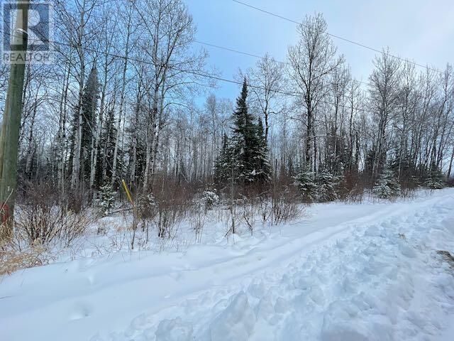 Property Photo:  199 Lakeview Rd  ON P8N 2Y4 