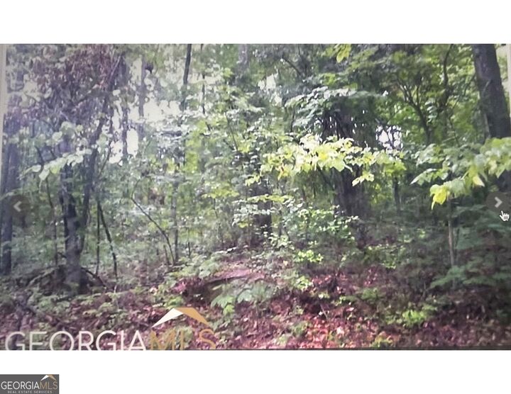 Property Photo:  0 Turtle Cove Throughway  GA 31064 