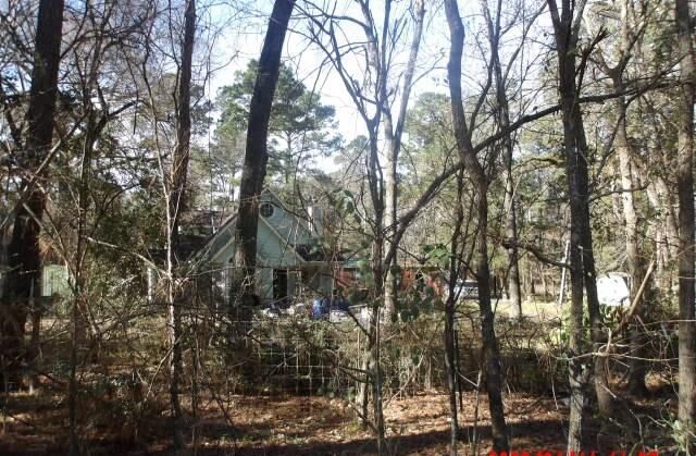 Property Photo:  30503 Klein Drive  TX 77355 