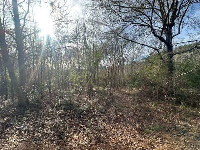 Property Photo: Tbd Cr 286 TX 75946