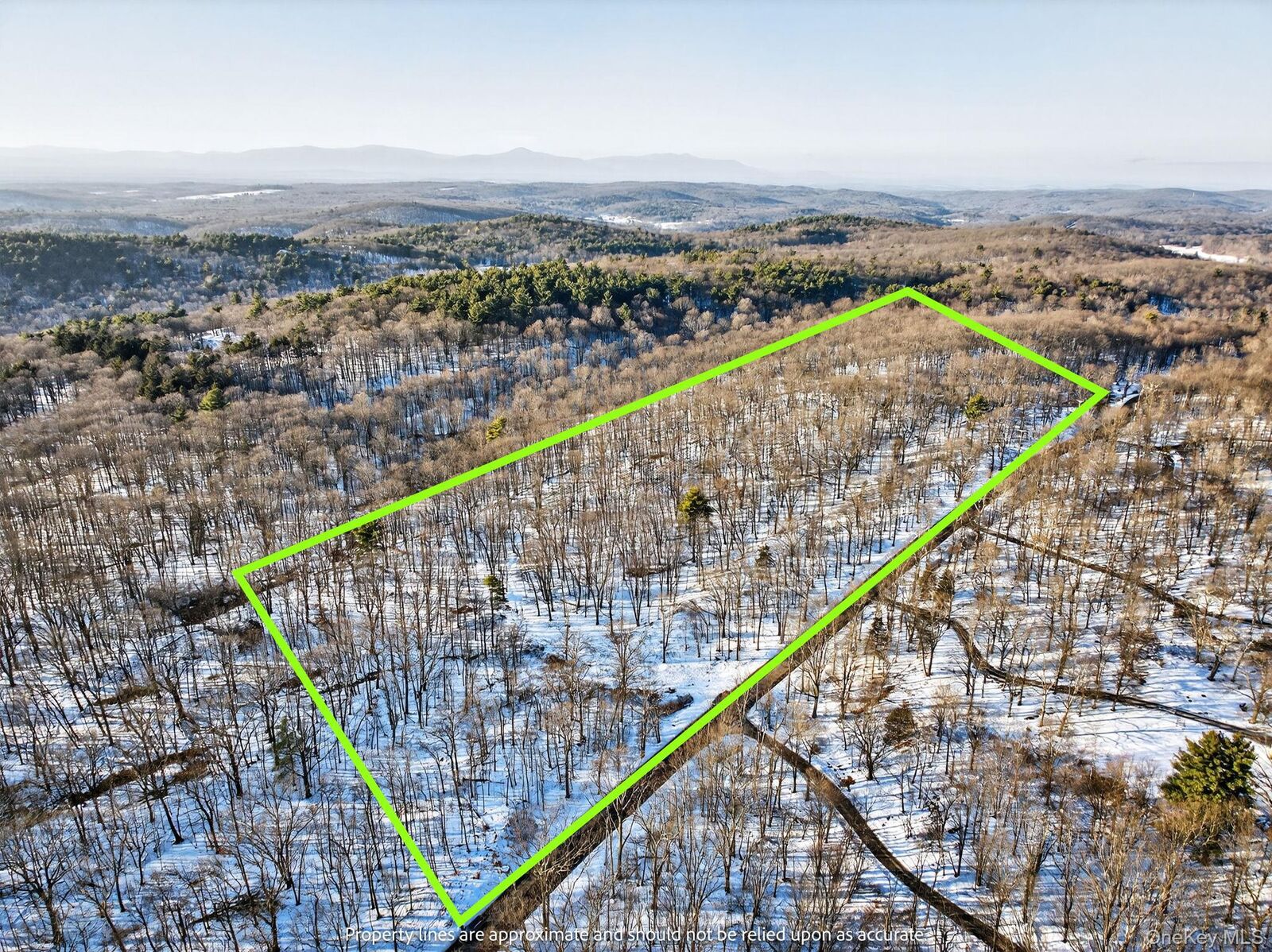 Property Photo:  Tbd Hicks Hill Road  NY 12401 