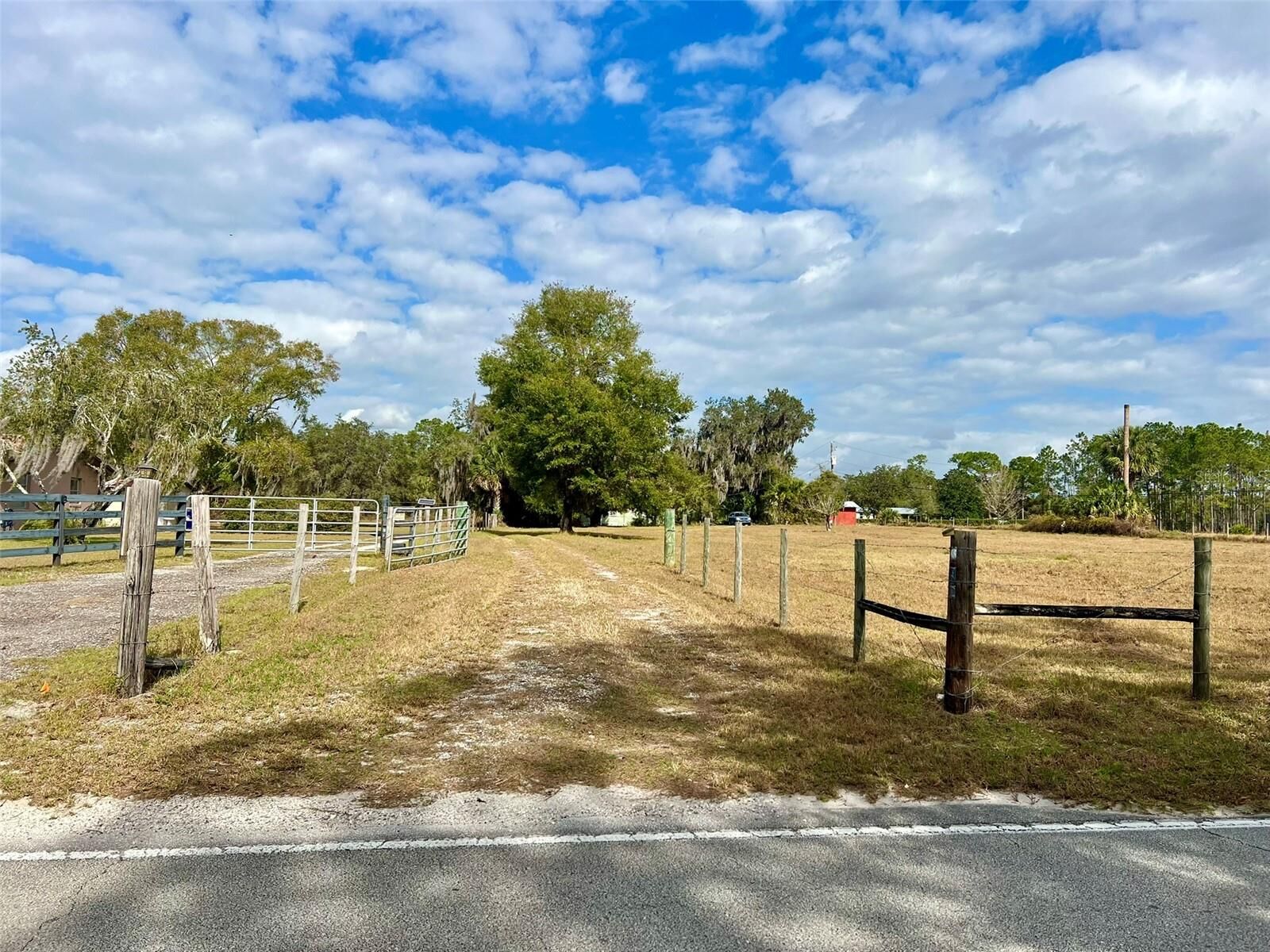 Property Photo:  392 Lemon Bluff Road  FL 32764 