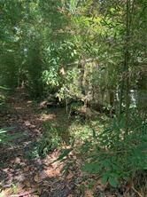 Property Photo:  Destin Street  LA 70448 