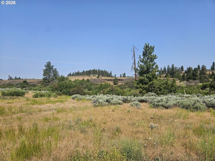 Property Photo:  Olson Rd  WA 98620 