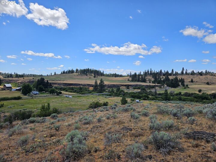 Property Photo:  Olson Rd  WA 98620 