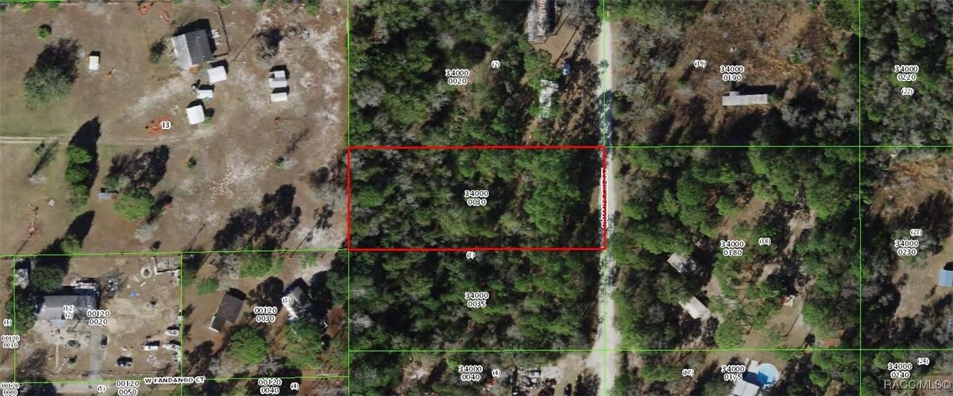 Property Photo: 4624 N Mandrake Point FL 34428