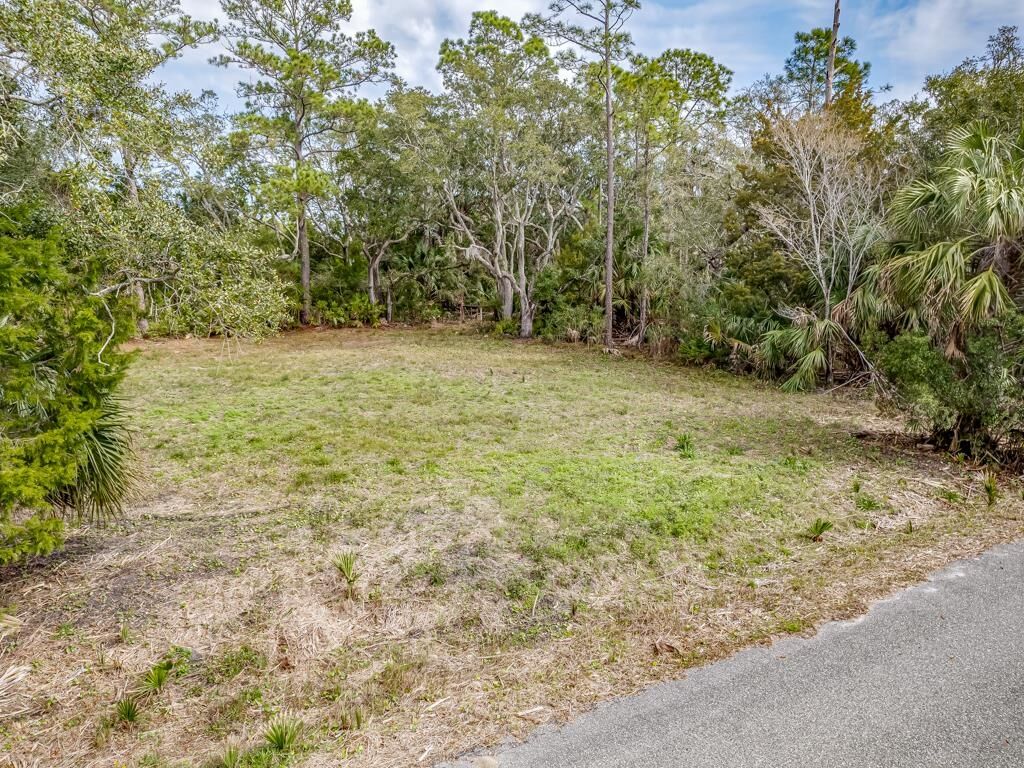 Property Photo:  0 Blue Dolphin Drive 2  FL 32327 
