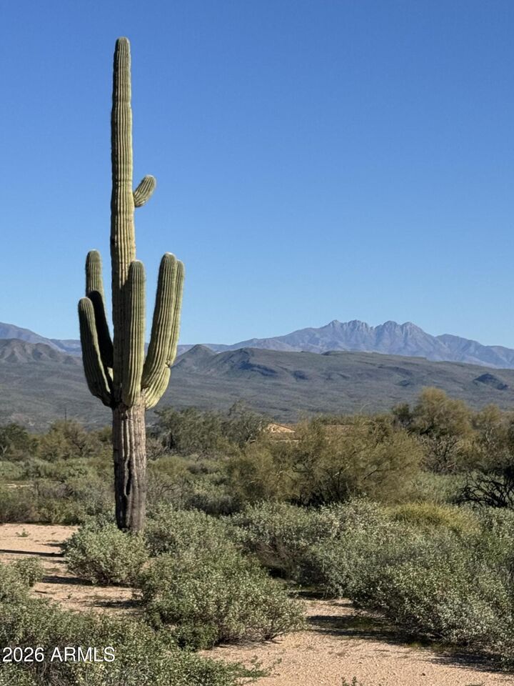 Property Photo:  0 N 172nd Street 0  AZ 85263 