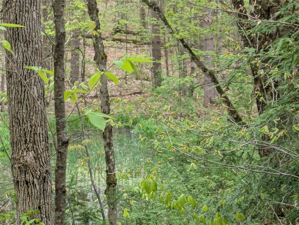 Property Photo:  00 Union Hill Road  NY 13743 