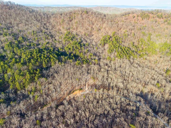 Property Photo:  116 Blackcat Trail  AR 71968 