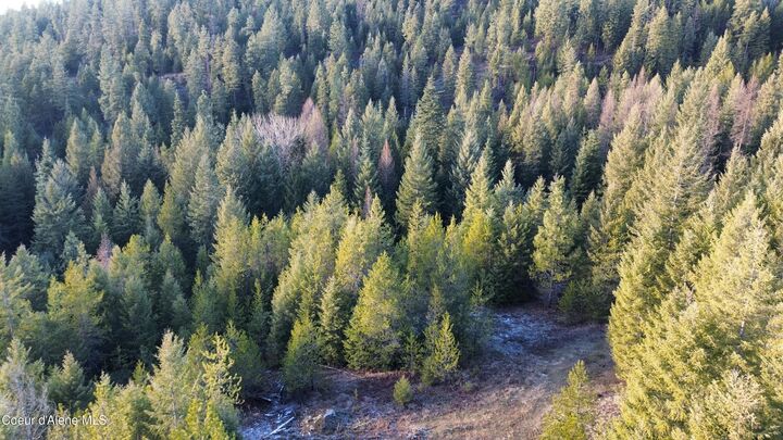 Property Photo:  L7 B1 Kelso Woods Dr  ID 83801 