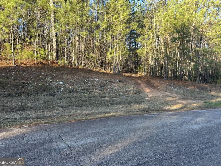 Property Photo:  0 Erskine Drive Lot 16  GA 31064 