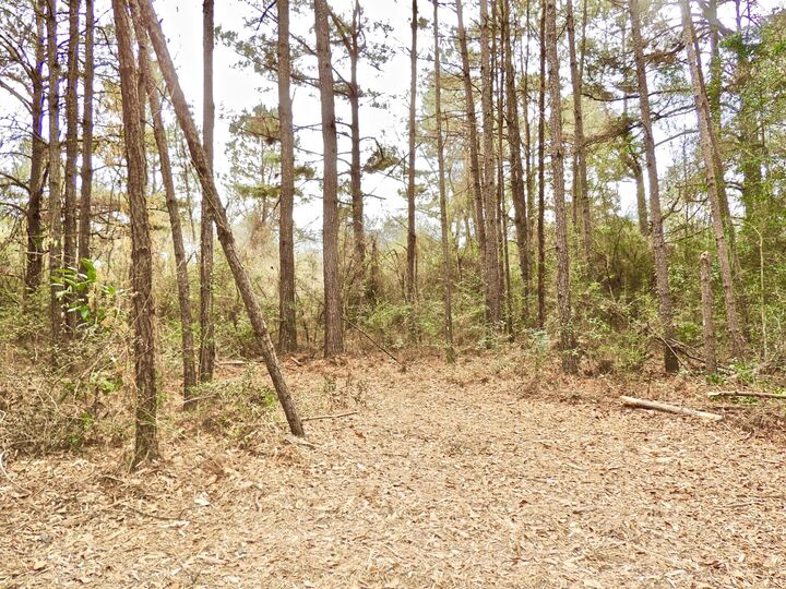 Property Photo: 000 Rocky Branch Rd. MS 39482