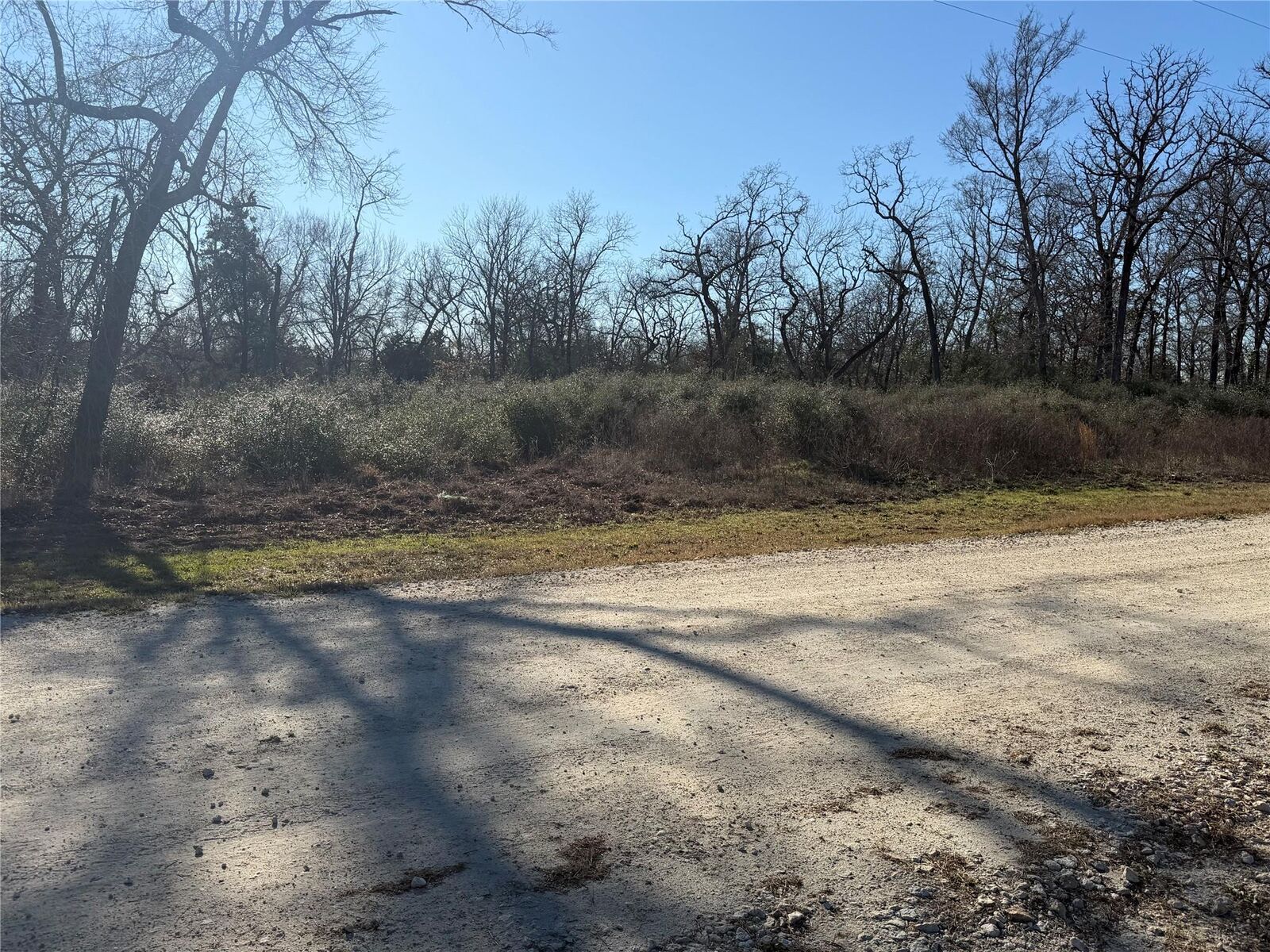 Property Photo:  Lot 29 Cr 389  TX 75846 