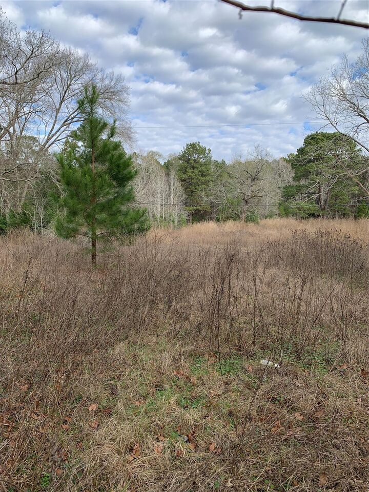 Property Photo:  373 Johnson Road  TX 77320 