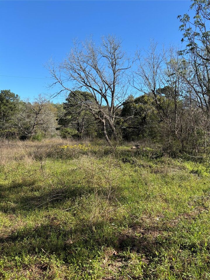 Property Photo:  373 Johnson Road  TX 77320 