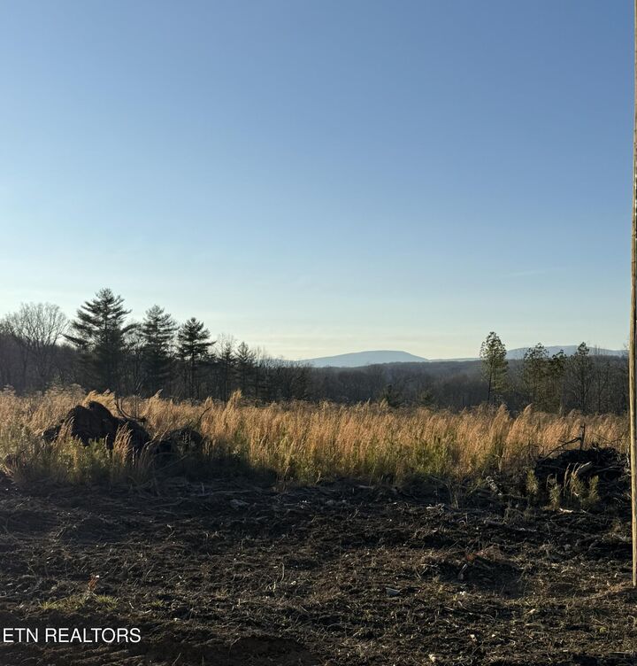 Property Photo: Possom Trot Rd. - Tract 13 TN 37337