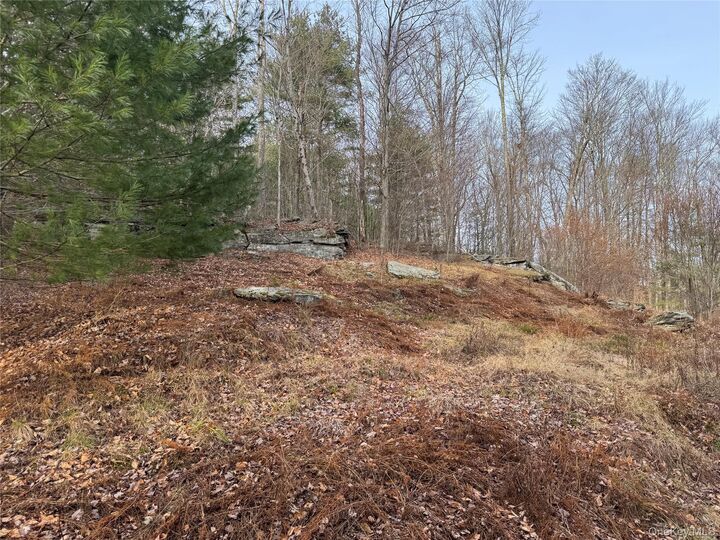 Property Photo:  Hilltop Road  NY 12701 